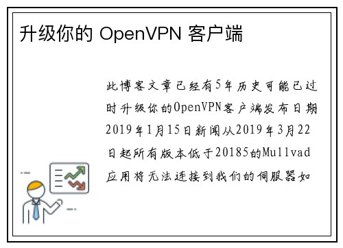 升级你的 OpenVPN 客户端 
