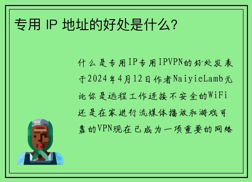 专用 IP 地址的好处是什么？ 