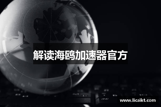 解读海鸥加速器官方